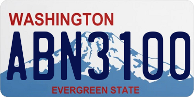 WA license plate ABN3100