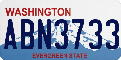 WA license plate ABN3733