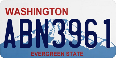 WA license plate ABN3961