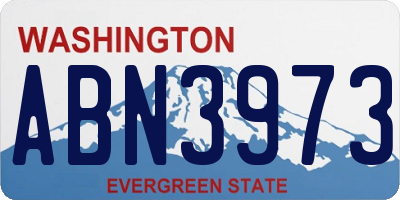 WA license plate ABN3973