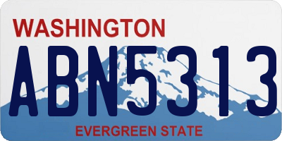 WA license plate ABN5313