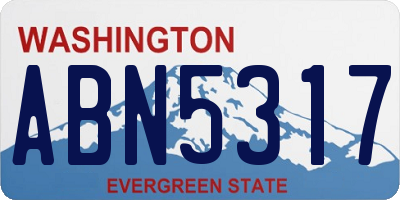 WA license plate ABN5317