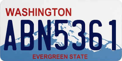 WA license plate ABN5361