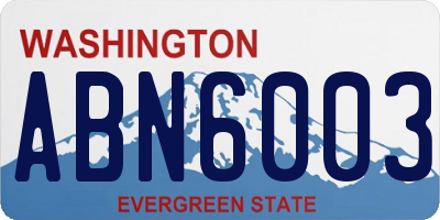 WA license plate ABN6003