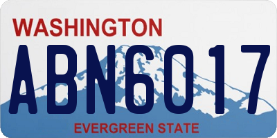WA license plate ABN6017