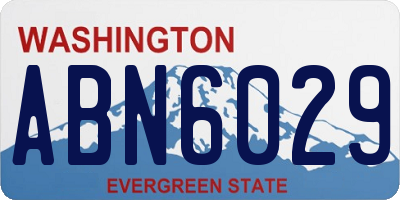 WA license plate ABN6029