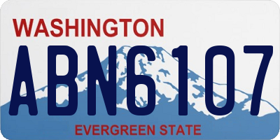 WA license plate ABN6107