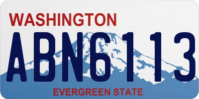 WA license plate ABN6113