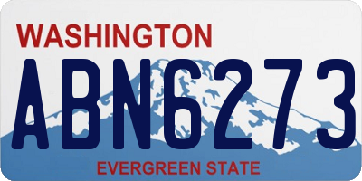WA license plate ABN6273
