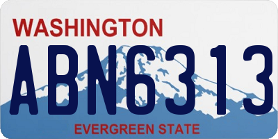 WA license plate ABN6313
