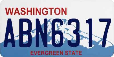 WA license plate ABN6317