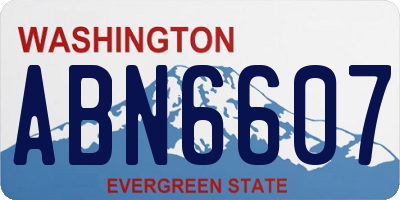WA license plate ABN6607