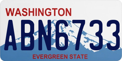 WA license plate ABN6733