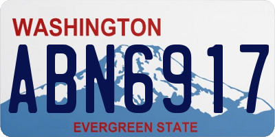 WA license plate ABN6917