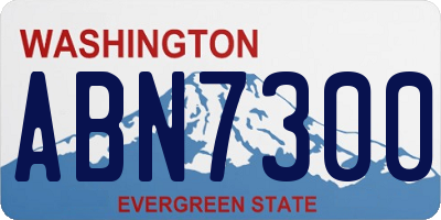 WA license plate ABN7300