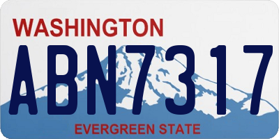 WA license plate ABN7317
