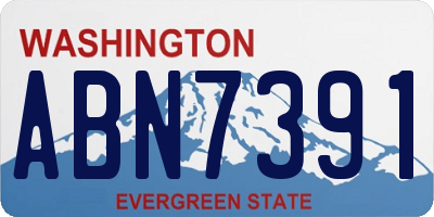 WA license plate ABN7391