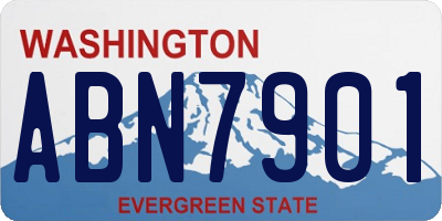 WA license plate ABN7901