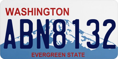WA license plate ABN8132