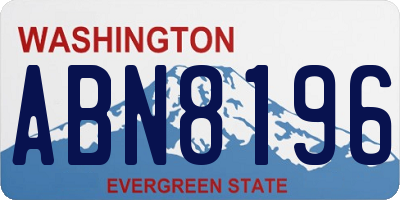 WA license plate ABN8196