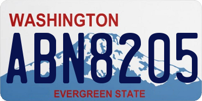 WA license plate ABN8205