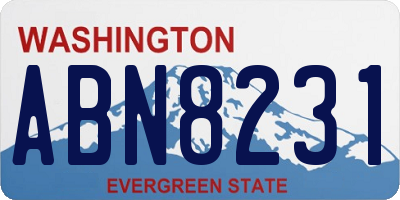 WA license plate ABN8231