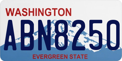 WA license plate ABN8250