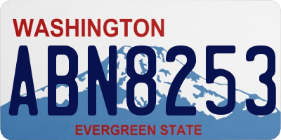 WA license plate ABN8253