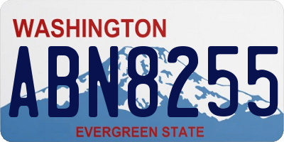 WA license plate ABN8255