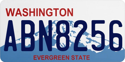 WA license plate ABN8256