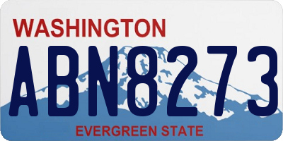 WA license plate ABN8273