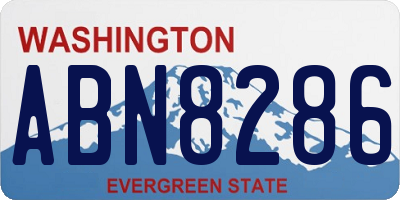 WA license plate ABN8286