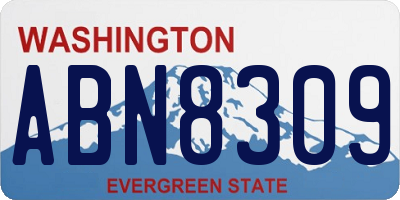 WA license plate ABN8309