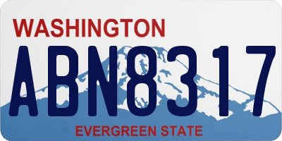 WA license plate ABN8317