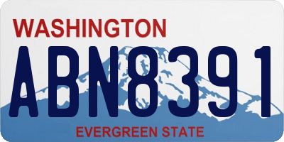 WA license plate ABN8391