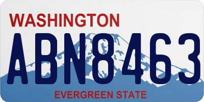 WA license plate ABN8463