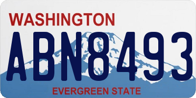 WA license plate ABN8493