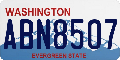 WA license plate ABN8507