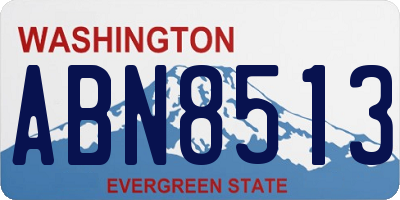 WA license plate ABN8513