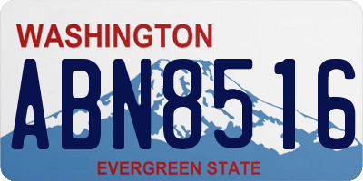 WA license plate ABN8516