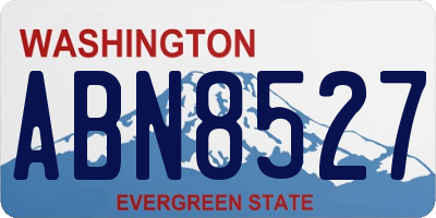 WA license plate ABN8527
