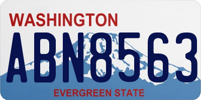 WA license plate ABN8563
