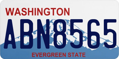 WA license plate ABN8565