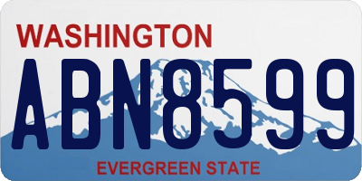 WA license plate ABN8599