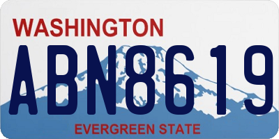 WA license plate ABN8619