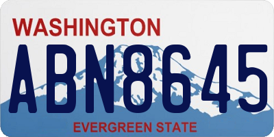 WA license plate ABN8645