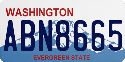 WA license plate ABN8665