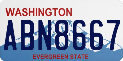 WA license plate ABN8667