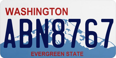 WA license plate ABN8767