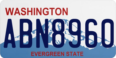 WA license plate ABN8960